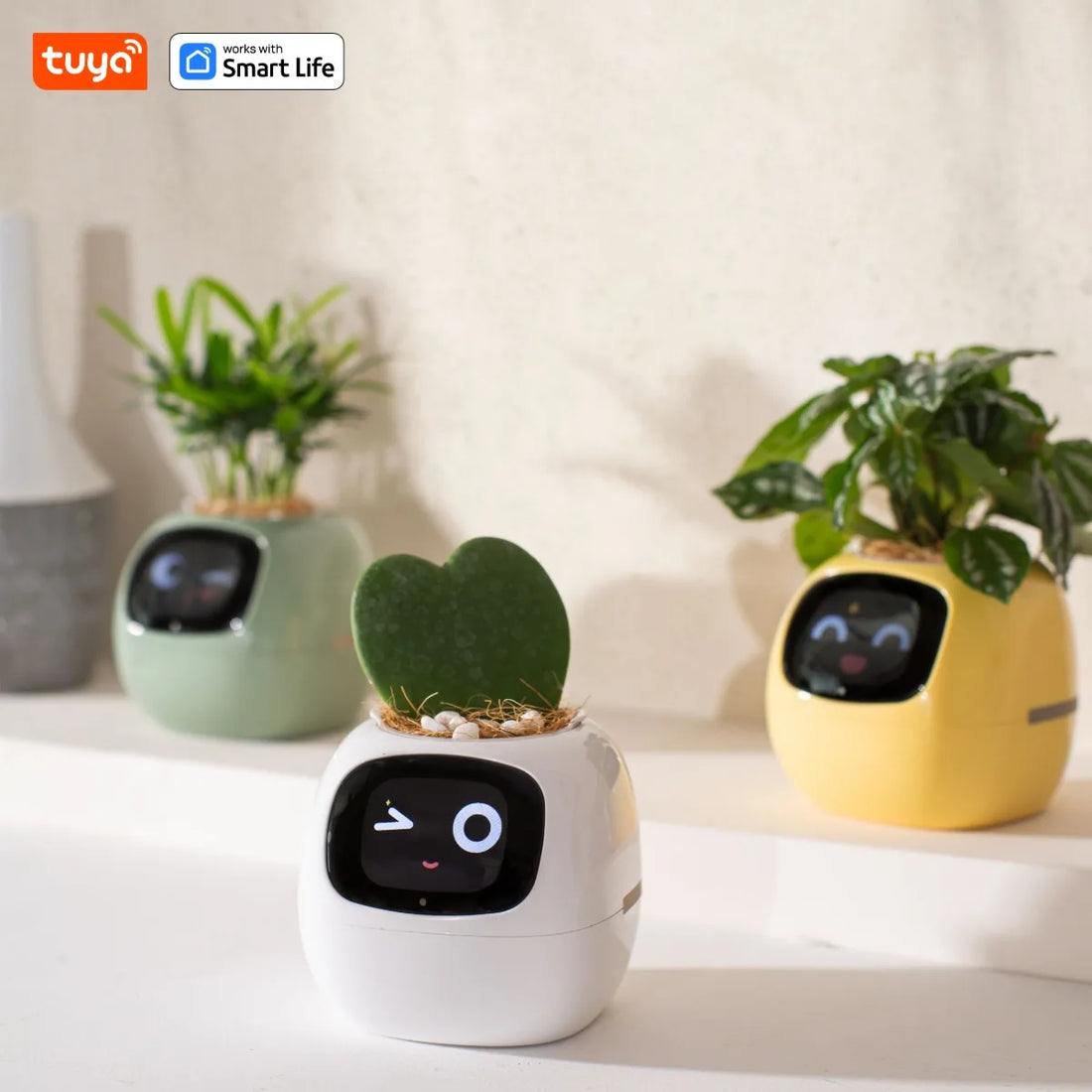 Smart home robot planters with cute digital faces and indoor plants on a modern surface