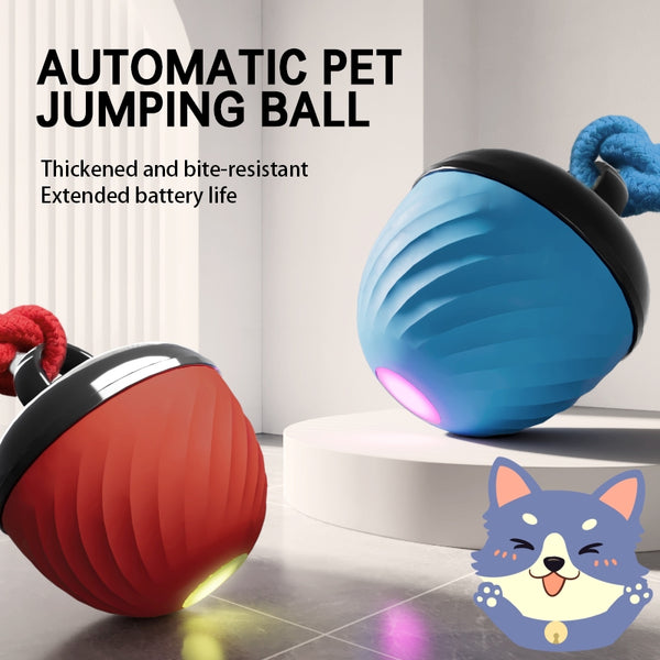Smart Interactive Dog & Cat Toy Ball | USB Rechargeable Moving Pet Toy