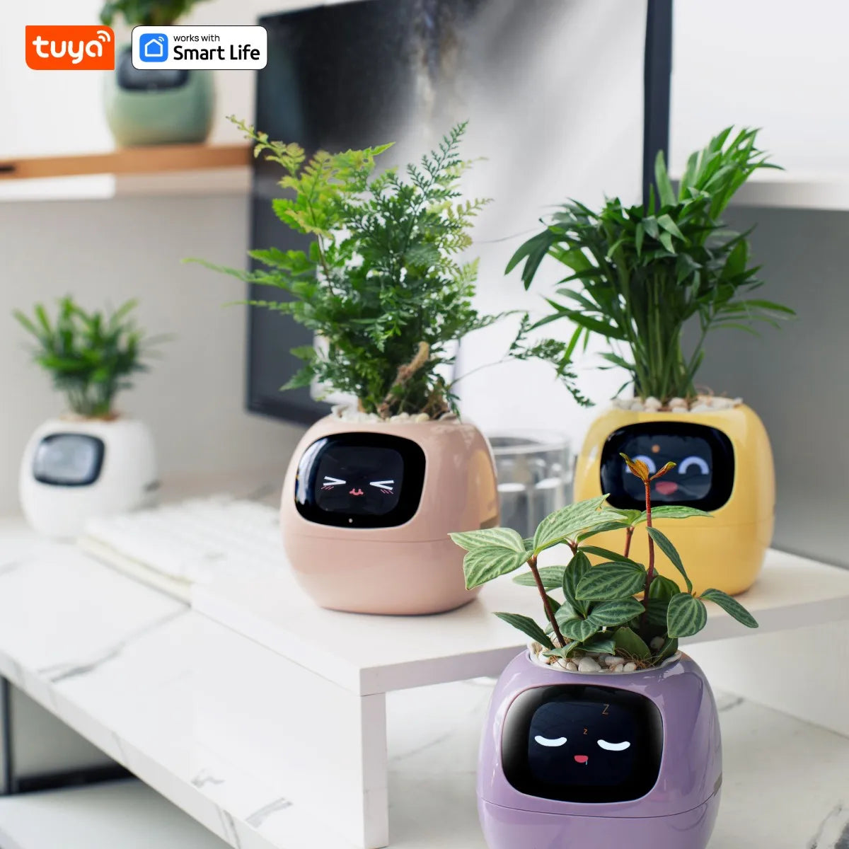 Smart Plant Pot with Automatic Watering - AI App Control & Soil Sensors for Healthy Plants