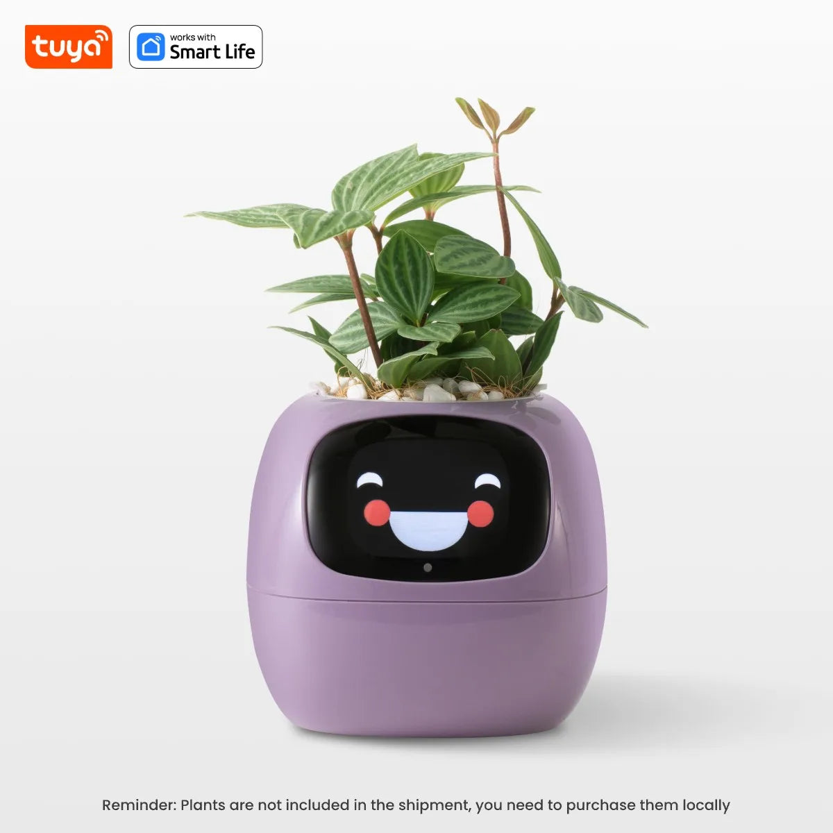 Smart Plant Pot with Automatic Watering - AI App Control & Soil Sensors for Healthy Plants