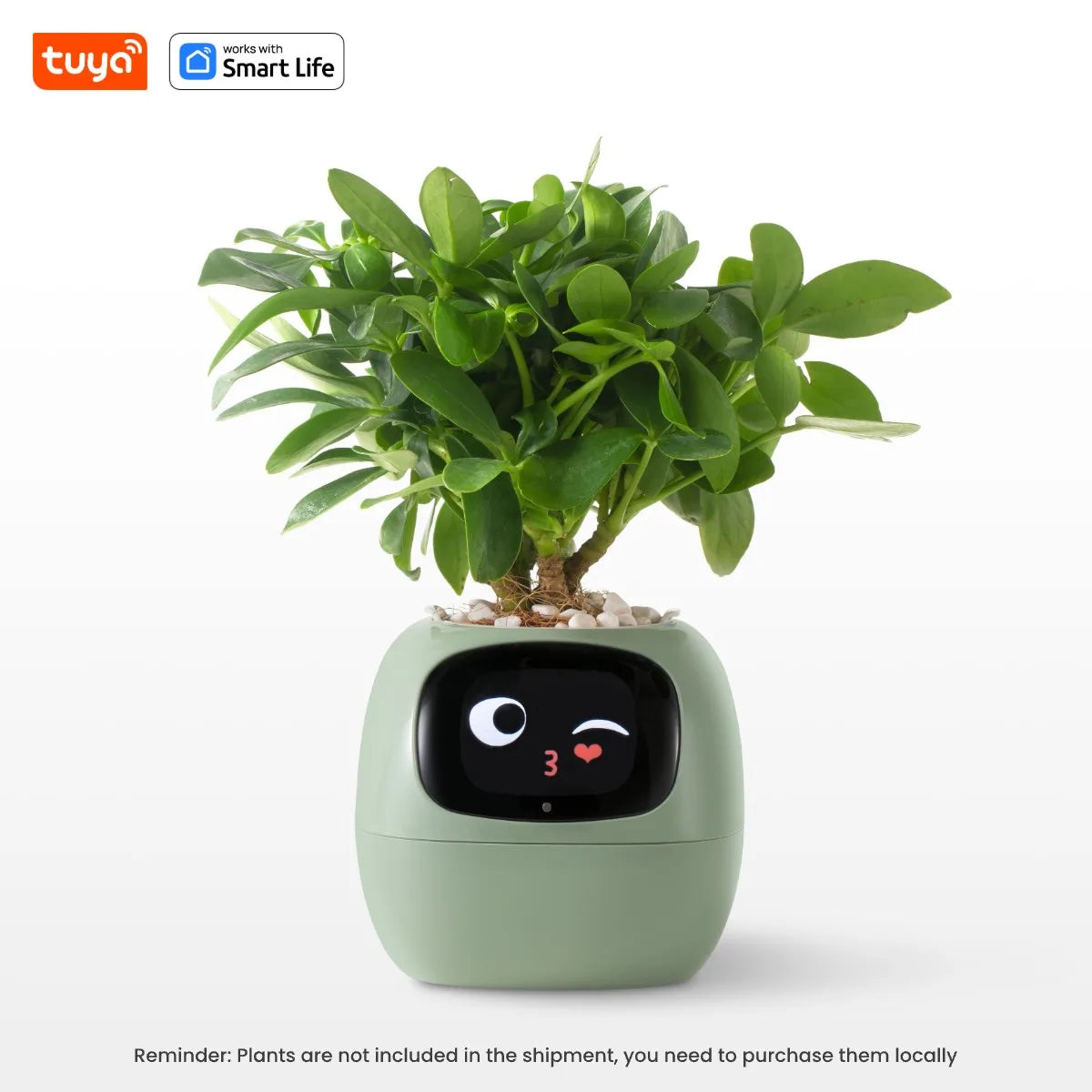 Smart Plant Pot with Automatic Watering - AI App Control & Soil Sensors for Healthy Plants
